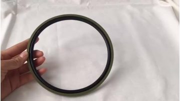 Rubber PTFE Bronze