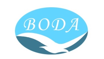 BODA ENTERPRISE LIMITED