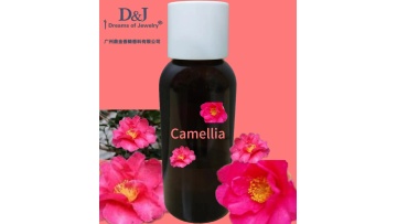 Unfinished perfume camellia essential oil