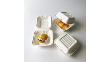 bagasse burger box B003+004+005