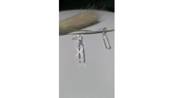 silver earrings