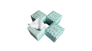 Facial Tissue (2)