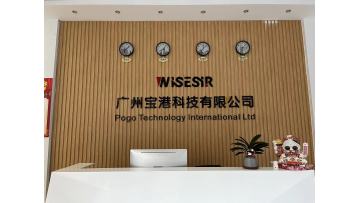 Wisesir logo customization