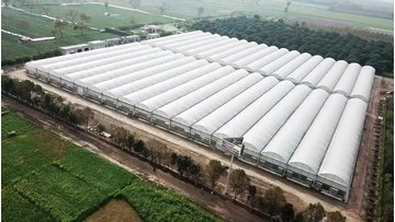 Vegetables Green House Commercial Hydroponics Farm Multi-span Plastic Film Agricultural Greenhouses For Sale1