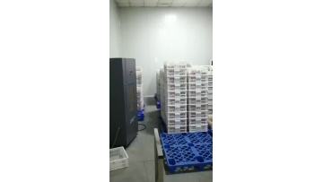 black garlic warehouse