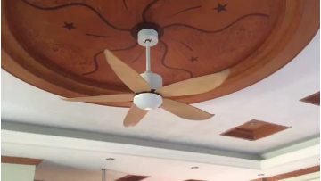 5 blade ceiling fan for household