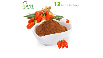 Organic Goji berry extract powder 