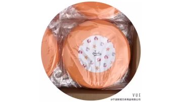 Sports goods Customized Logo Toy Throw and Catch Flying Disc Golf1