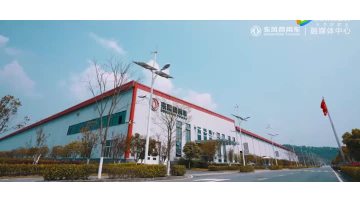 dongfeng introduction.mp4
