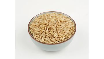 grain oat rice