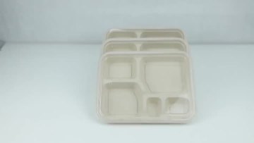 Bagasse Container