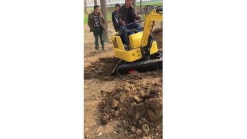 Digger excavator