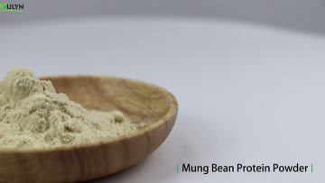 Vegan Protein Powder Hydrolyzed Mung Bean Protein