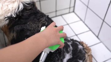 shower for dog
