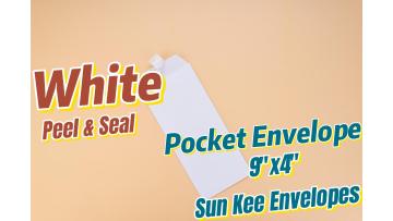 DL White Pocket Envelope