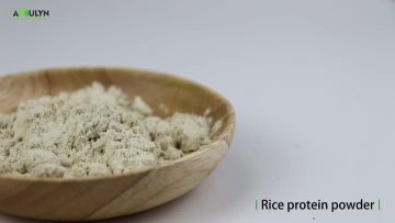 Food Grade Hydrolyzed Rice Protein Isolate Powder