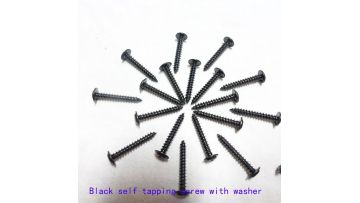 black screws (1)