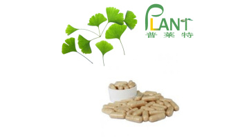 ginkgo biloba leaf extract powder