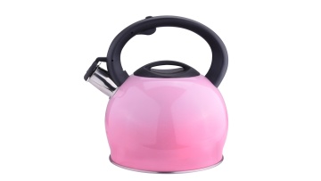 FH-300 pink teapot