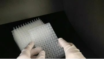 0.2ml 96-Well PCR plate  Without Skirt