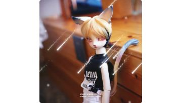 SD/MSD/YOSD Size Ball Jointed Doll