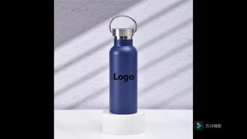 17oz Stainless Steel Water Bottle