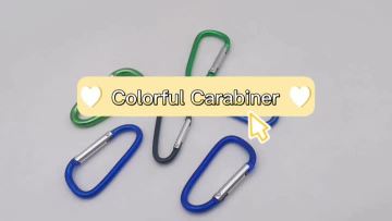 Colorful Carabiner