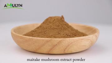 maitake mushroom extract powder