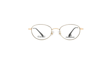 Business Optical Glasses Titanium Metal Optical Eyewear Frame1