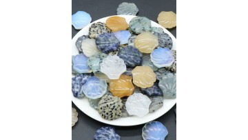 Gemstone Shell for Decor (1)