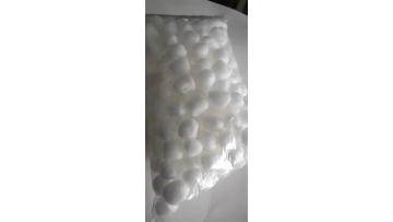 Bio-based foam packaging