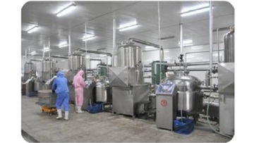 VF VEGS AND FRUITS CHIPS FACTORY