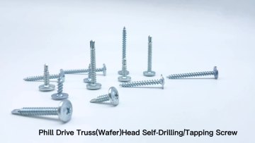 Great Quality  Zinc Plated  Phill Drive Truss Head Self-Drilling Or Self-Tapping Screws1
