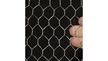 high quality small hole chicken fencing net iron wire mesh with low price for sale1