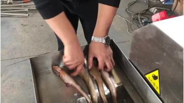 Fish Deboning Machine