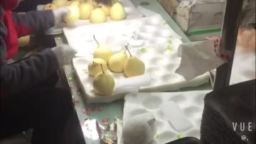 pear