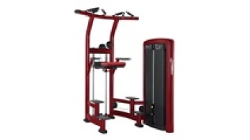 Gym Dip/Chin Assist Fitness Equipment