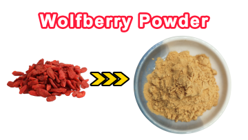 Wolfberry Powder