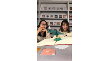 Custom Funny Laser Cut Dinosaur Boy 3D Pop Up Birthday Greeting Cards for Kids1