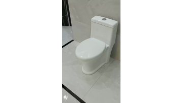 Siphonic Ceramic Toilet