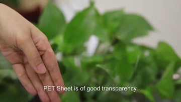 pet film