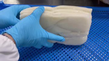 Frozen Squid Tube Illex Coindetii