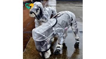 dog raincoat clear