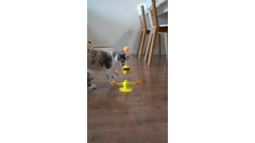 Pet products factory wholesale company's new cat toy carousel ball tumbler tickle stick1