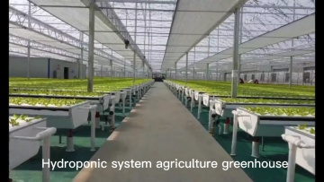 Hydroponic Growing System Vertical  NFT System PVC Pipes Aquaponic Farm Greenhouse Kits1