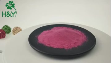 Freeze pink pitaya powder pitaya dragon fruit powder