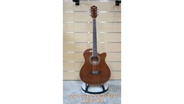 T405 acoustic guitar
