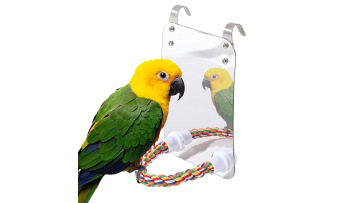 bird mirror toy