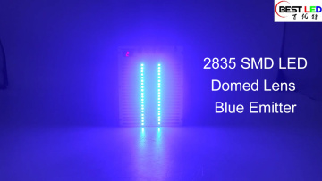 2835 domed lens LED with blue color