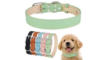 Personalized Leather Pet Collar